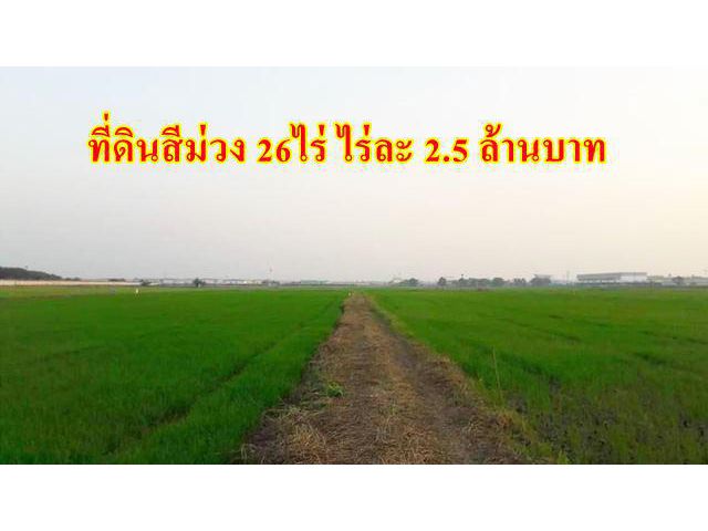 S016 ขายที่ดินสีม่วงติดนิคมโรจนะ 26 ไร่ ติดถนนหลัก 85 ม. ลึก 460 ม. น้ำไม่ท่วม แปลงสวยแปลงสุดท้าย ใกล้แม่น้ำเจ้าพระยา