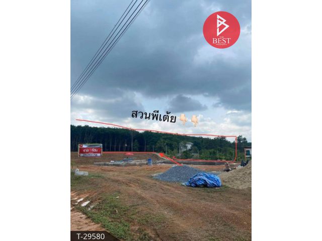 ขายทีดินพร้อมสวนยาง 13 ปี แบ่งขาย 30 ไร่ วังกระแจะ ตราด
