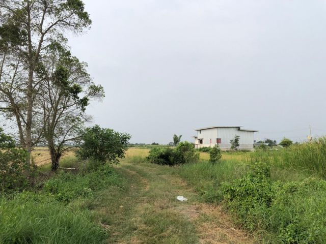 ที่ดินเปล่า ซ.วัดสุขใจ 15 ถ.นิมิตใหม่ มีนบุรี 146 ตร.ว เหมาะทำสวนเกษตร บ้าน โกดัง ขายถูก
