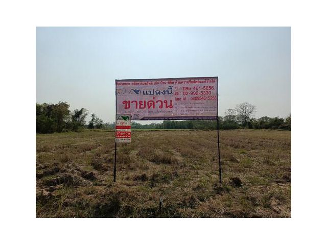 ขายที่ดินเปล่า7-3-77.8 ไร่ เมือง จ.พิษณุโลก