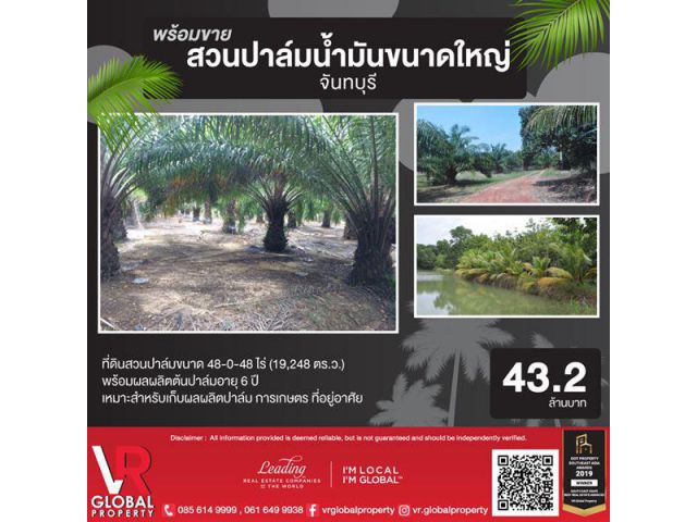 ขายที่ดิน พร้อมสวนปาล์มน้ำมัน ในจังหวัดจันทบุรี เหมาะสำหรับเก็บผลผลิตปาล์ม การเกษตร ที่อยู่อาศัย