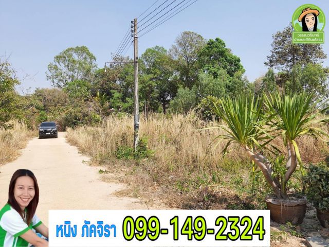ที่ดิน 300,000 บ้านคอนสาย/ยโสธร ใกล้แมคโคร