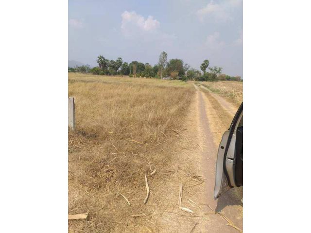 ที่ดิน 12 ไร่ อ.เลาขวัญ จ.กาญจนบุรี