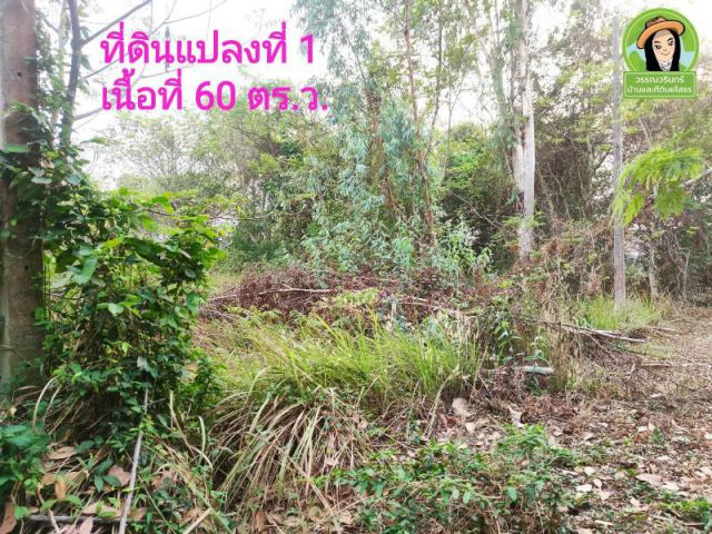 ที่ดินแบ่งล๊อคโซนม.อุบลฯ ราคา 490,000 บาท