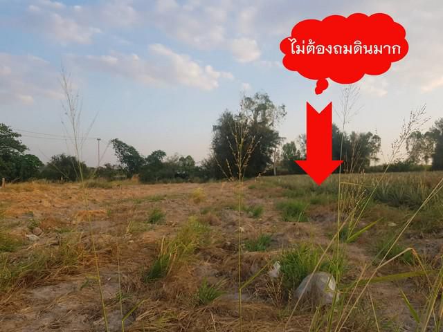 ขายที่ดินใกล้นิคมอมตะซิตี้ ปลวกแดง จ.ระยอง 1 ไร่