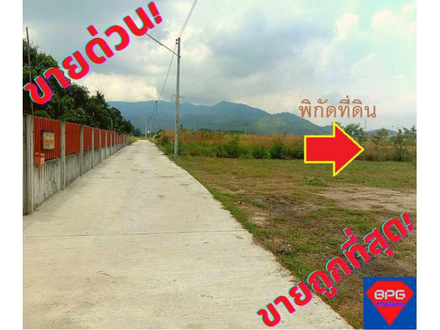 ขายที่ดินชลบุรี บ้านบึง เนื้อที่ 2ไร่ อ.บ้านบึง จ.ชลบุรี*ขายถูกด่วน*ที่ถมแล้ว