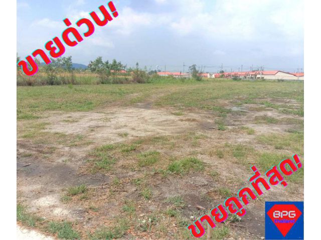 ขายที่ดินชลบุรี บ้านบึง 2ไร่ อ.บ้านบึง จ.ชลบุรี*ขายถูกด่วน*ที่ถมแล้ว