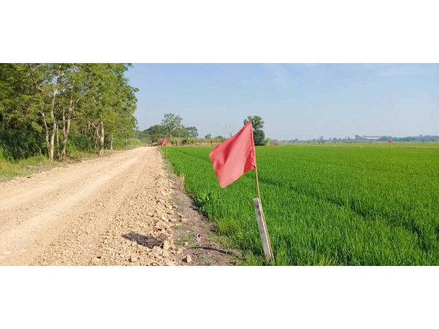 ขายที่ดินสวยสดผ่อนติดถนนหลักคลอง13 ลำลูกกา ลำไทร ปทุมธานี
