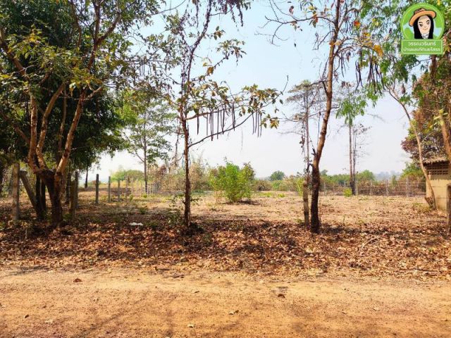 ที่ดินด้านหลังวิวบุ่งนางแพง ต.กุดลาด/อุบลฯ