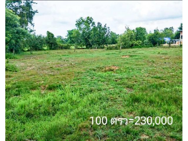 ที่ดินเปล่าแปลงสวยบ้านหัวคำขามใหญ่