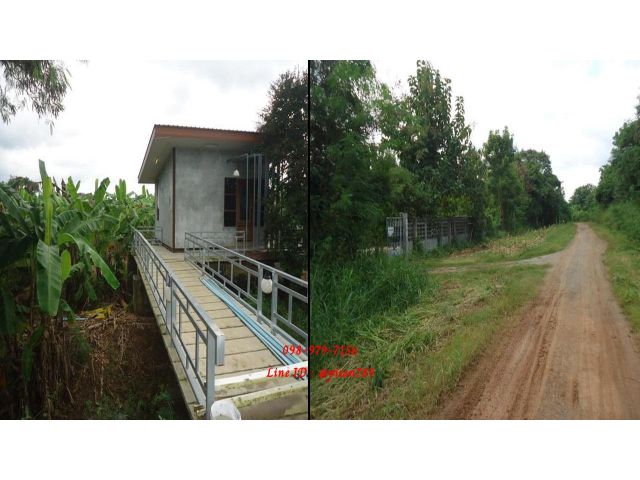 P265 ขายที่ดินพร้อมบ้านสวนเกษตร จำนวน 9 ไร่ สูงเนิน ตำบลมะเกลือเก่า ติดถนน ติดคลองชลประทาน