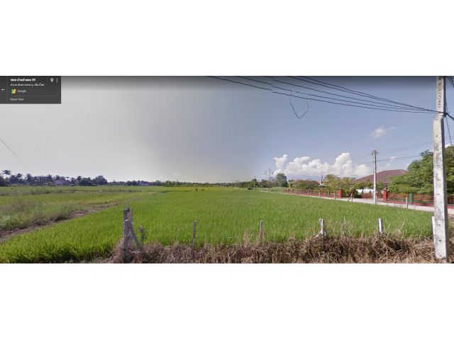 ที่ดินบ้านป่าตอง สันทรายหลวง เชียงใหม่ 1 ไร่