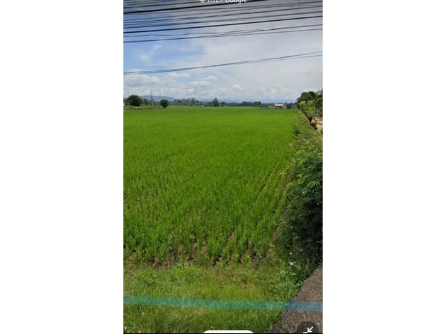 ขายที่แม่ริมโซนเหมืองแก้ว ใกล้แหล่งท่องเที่ยว