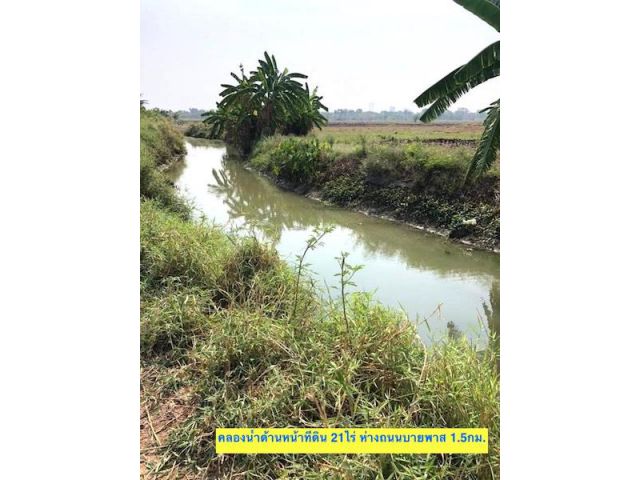 ขายที่ดิน 21-1-4ไร่ โคกสูง เมืองนครราชสีมา ใกล้ถนนบายพาสศาลปกครอง