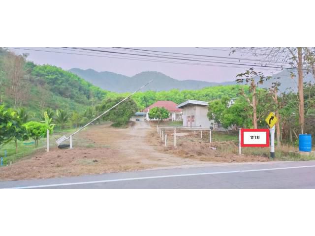 ขายเช่า สวนยางพารา 150 ไร่ สวนผึ้ง ราชบุรี