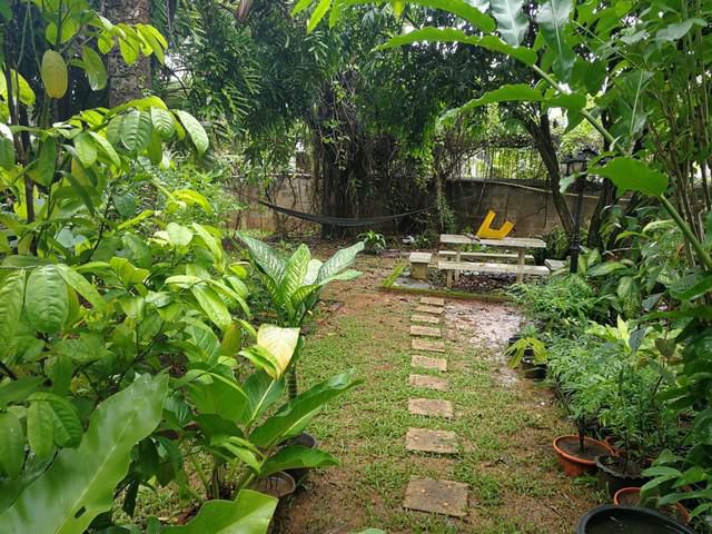 ขายที่ดินพร้อมบ้าน 1 หลัง ขนาด 365 ตรว.ซอยศรีวิชัย 21 เมืองสุราษฎร์ธานี เข้าซอยเพียง 50 เมตร ทำเลดีมาก