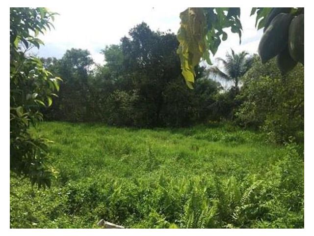 ขายที่ดินหาดใหญ่ สงขลา 350 ตร.วา ไม่ไกลจาก ห้าง Big C คลองแห ใกล้ถนนลพบุรีราเมศร์ ใกล้ตัวเมืองหาดใหญ่