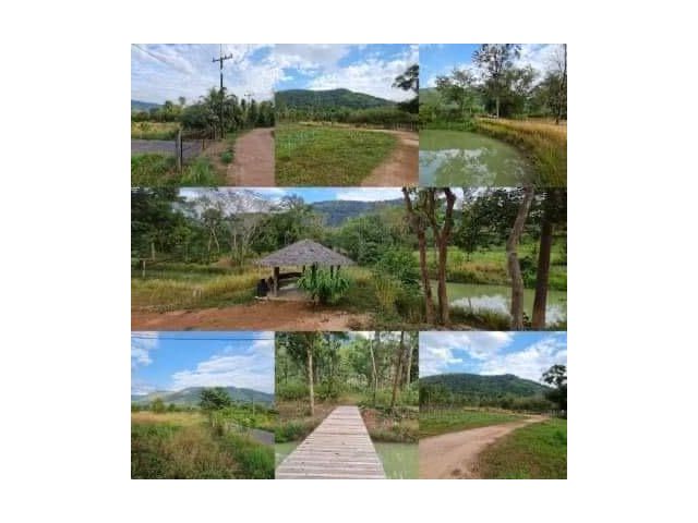 ขายที่ดินติดเขาใหญ่เนื้อที่ 38 ไร่ 2 งานกว่า ตำบลเนินหอม อำเภอเมืองปราจีนบุรี จังหวัดปราจีนบุรี ขายยกแปลงราค