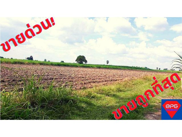 ลดกระหน่ำ!ขายด่วนที่ดิน ตาคลี นครสวรรค์ เนื้อที่ 70ไร่ 2งาน*ขายถูกด่วน*