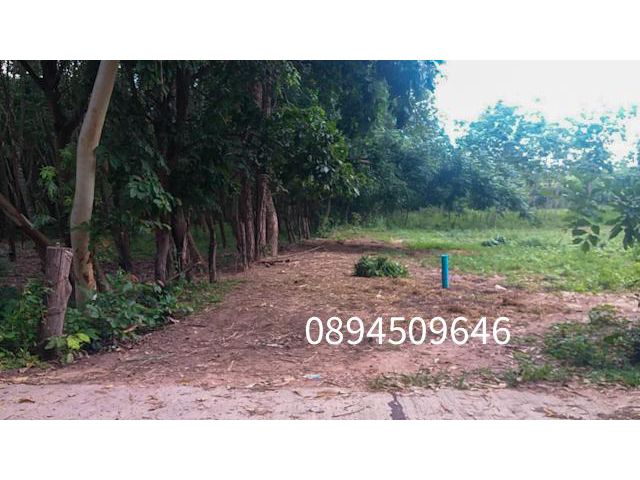 ขายที่ดิน  ต.กลาง อ.เดชอุดม จ.อุบลราชธานี