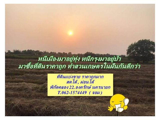 #หนีเมืองมาอยู่ทุ่งหนีกรุงมาอยู่ป่า_ที่ดินราคาถูกสดผ่อนได้ T.062-1574449