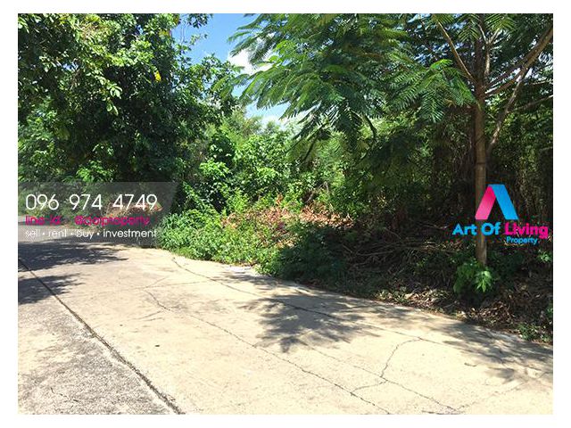 ขายที่ดิน ในดิเอมเมอรัลพาร์ค2 (AOL-F84-2103003545)