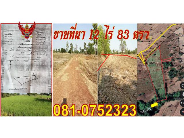 ขายที่นาติดลำห้วย  อุดมสมบูรณ์ เนื้อที่ 12 ไร่ 83 ตรว. บ.หนองแสง ต.ห้วยไร่ อ.เมือง จ.อำนาจเจริญ