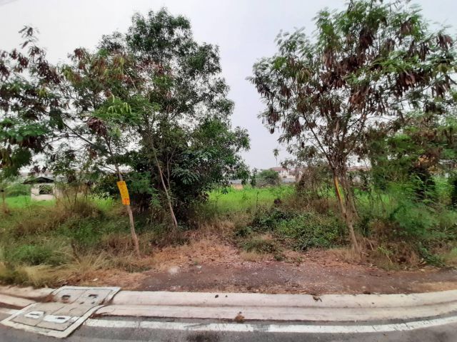 ขายที่ดิน ราคาถูกก!!!