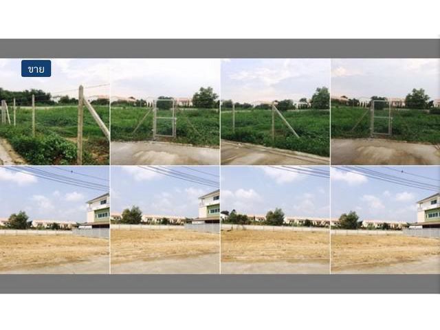 ขายถูกมาก ที่ดินใกล้สะพานพระราม 5 317 ตรว.