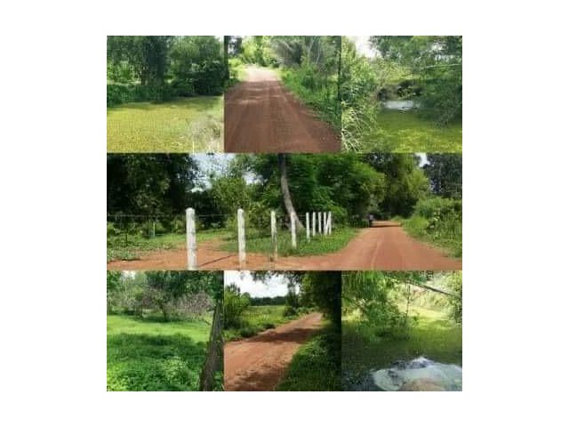 ขายที่สวนติดคลองธรรมชาติ เนื้อที่ 2 งาน ตำบลวังดาล อำเภอกบินทร์บุรี จังหวัดปราจีนบุรี ที่ดินหน้ากว้างประมาณ 35 เมตร ด้านข้างติดคลองธรรมชาติ ขายราคา 2