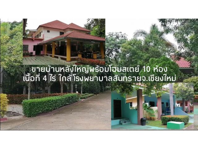 ขายบ้านสันทราย บ้านหลังใหญ่​พร้อมโฮมสเตย์ เนื้อที่ 3-3-41 ไร่ ราคา 15.5ล้าน