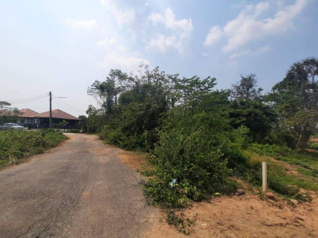 ขายที่ดินพนมสารคาม 2 ไร่ ติดถ.ลาดยางใกล้ถ.เส้น 3076 - 160 เมตร จ.ฉะเชิงเทรา