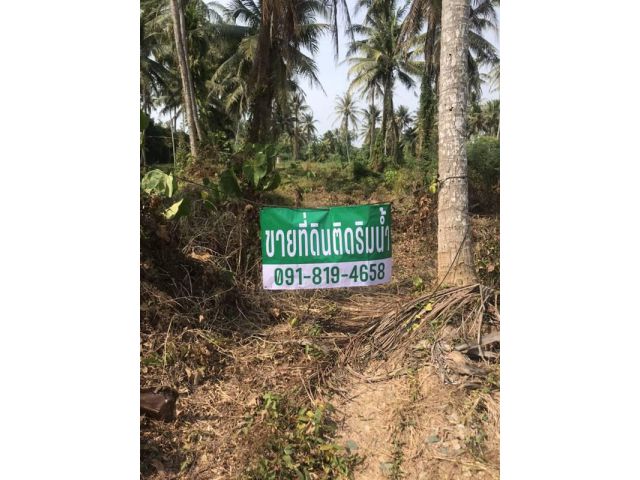 ขายด่วน ที่ดินติดริมคลองมะขามเตี้ย ติดถนน 3 ไร่ บรรยายกาศดีมาก