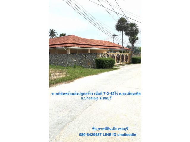 ขายที่ดิน ตะเคียนเตี้ย บางละมุง ชลบุรี