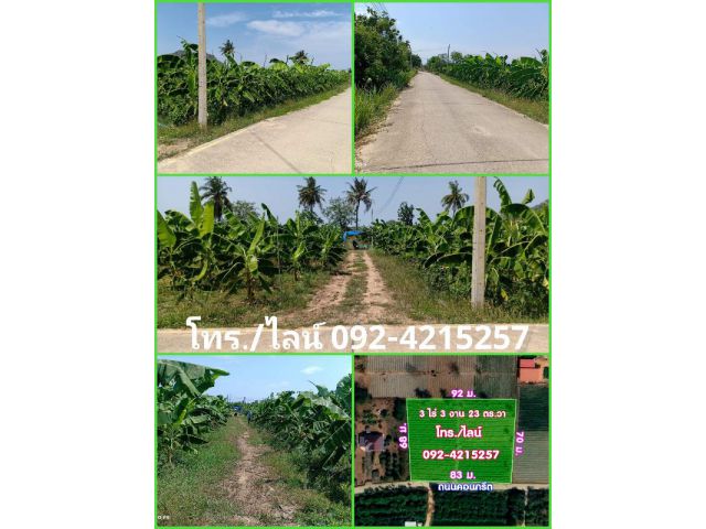 ขายที่ดิน #ถมแล้ว #ใกล้ถนนเพชรเกษม_ตลาดหนองบ้วย อ.ท่ายาง จ.เพชรบุรี