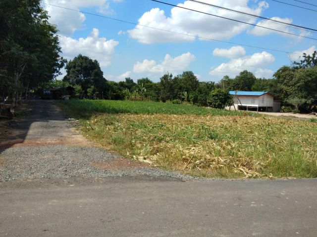 ที่ดินแบ่งขายพนมสารคาม 70 ตรว. ใกล้ถ.เส้น 3017 - 400 เมตร จ.ฉะเชิงเทรา