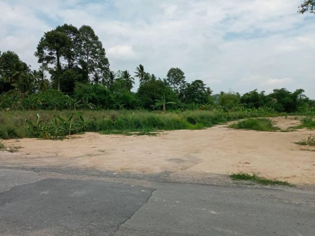 ขายด่วน​ ที่ดินราคาถูกเกือบ 4 ไร่