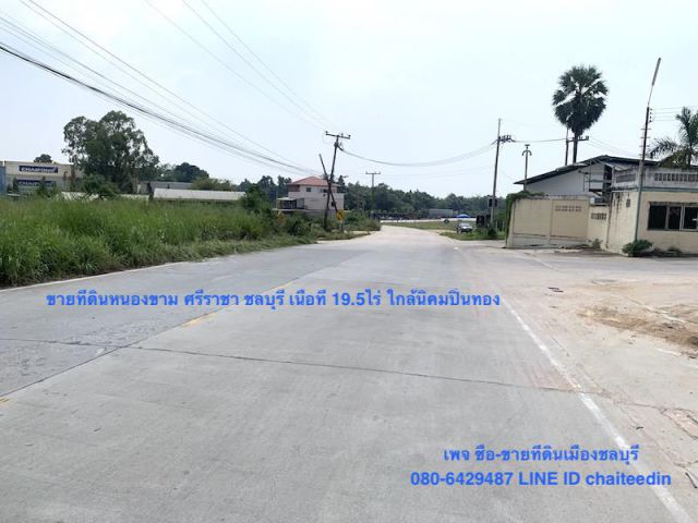 ###ขายที่ดินหนองขาม ศรีราชา ใกล้นิคมปิ่นทอง เนื้อที่ 19.5ไร่###