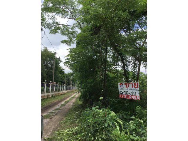 ที่ดินเปล่า 400 ตรว. ถ.รังสิตนครนายก คลอง13
