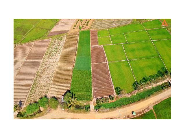 ขายที่ดิน ตำบลแม่แฝก อำเภอสันทราย จังหวัดเชียงใหม่