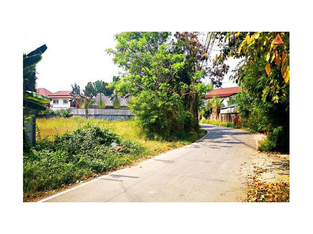 ขายที่ดิน ตำบลสันผักหวาน อำเภอหางดง จังหวัดเชียงใหม่