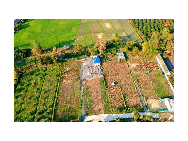 ขายที่ดิน ตำบลห้วยทราย อำเภอสันกำแพง จังหวัดเชียงใหม่