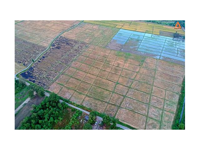 ขายที่ดิน ตำบลห้วยทราย อำเภอสันกำแพง จังหวัดเชียงใหม่