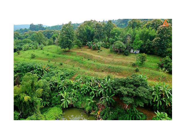 ขายที่ดิน ตำบลสะลวง อำเภอแม่ริม จังหวัดเชียงใหม่ ที่ดินวิวสวย