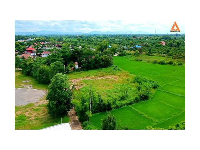 ขายที่ดิน ตำบลขุนคง อำเภอหางดง จังหวัดเชียงใหม่