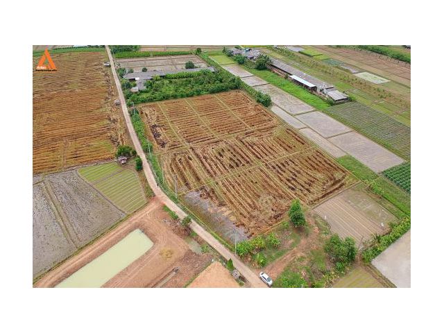 ขายที่ดิน ตำบลแม่แฝก อำเภอสันทราย จังหวัดเชียงใหม่ ติดถนนคอนกรีต