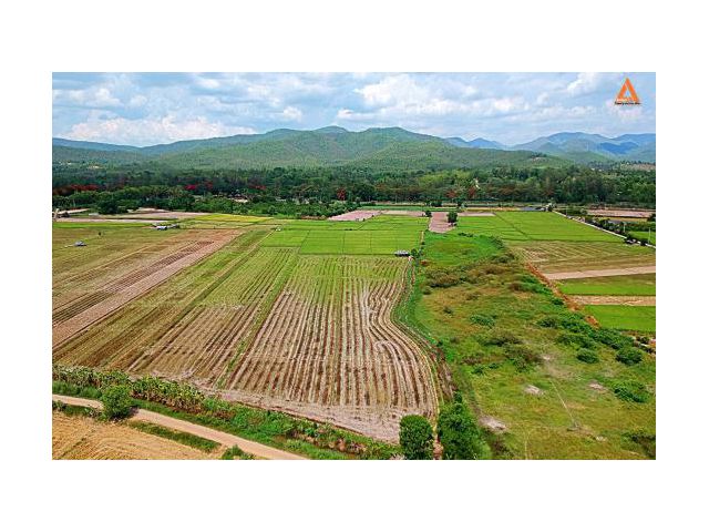 ขายที่ดินราคาถูก ตำบลแม่แฝก อำเภอสันทราย จังหวัดเชียงใหม่