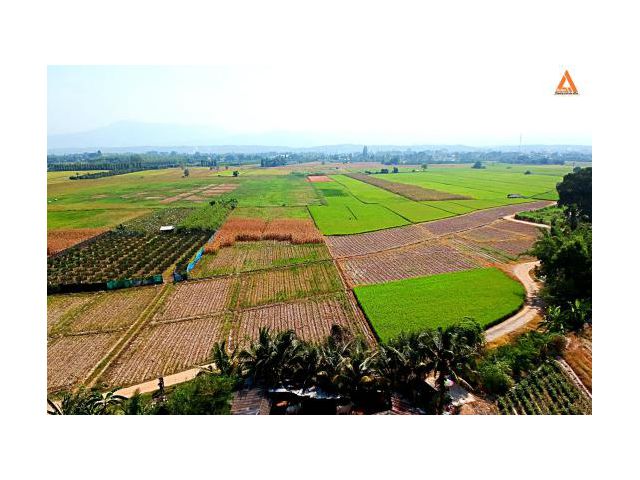 ขายที่นา ที่ไร่ ตำบลแม่แฝก อำเภอสันทราย จังหวัดเชียงใหม่