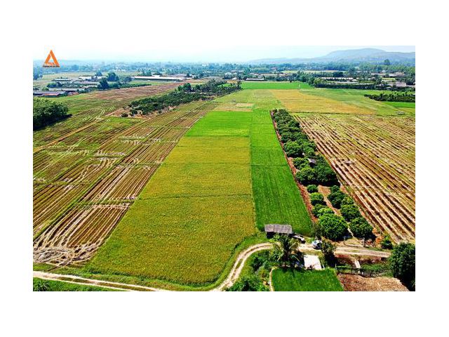 ขายที่นา ตำบลแม่แฝก อำเภอสันทราย จังหวัดเชียงใหม่ วิวพระธาตุดอยจอมกิตติ