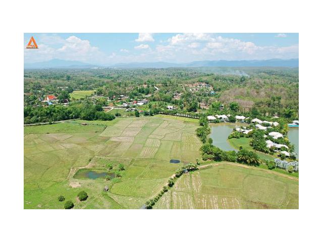 ขายที่ดินเนินเขา วิวดอย ทิวทัศน์ทุ่งนา ตำบลสะลวง อำเภอแม่ริม เชียงใหม่